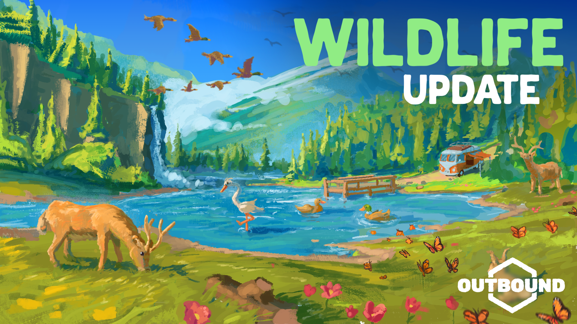 Wildlife Update